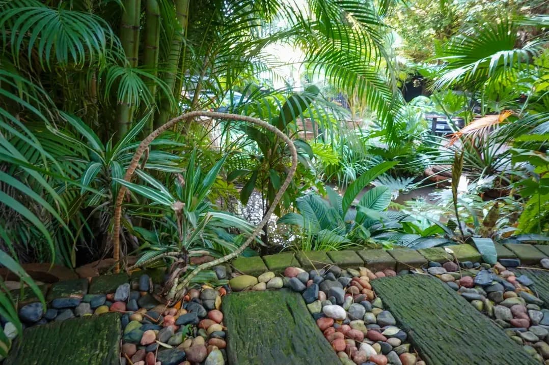 Maple Leaf Gardens 5